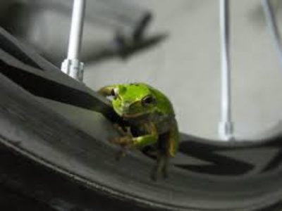 ☔梅雨なので毎日天気が悪く自転車に乗る機会も減りますね⤵