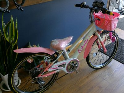 女の子のジュニアサイクル限定特価です✨