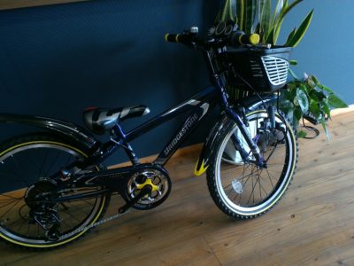 ジュニアマウンテン