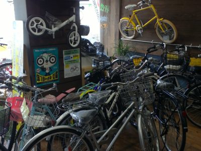 店内自転車まみれ(-ω-)/