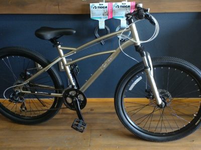 スポーツクルーザーでかっこよくお出かけ✨